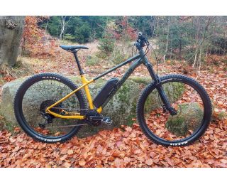 RM Glower A50 CYC Photon X1 2024